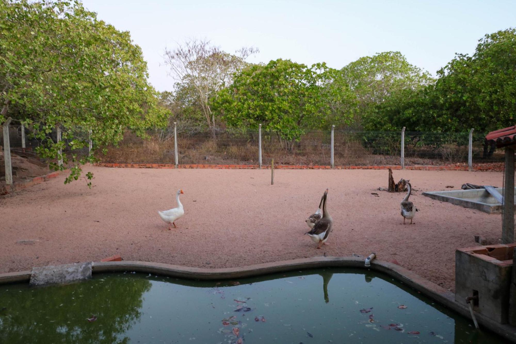 Rancho Imperio Do Caju Apartment Olho d'Agua do Casado